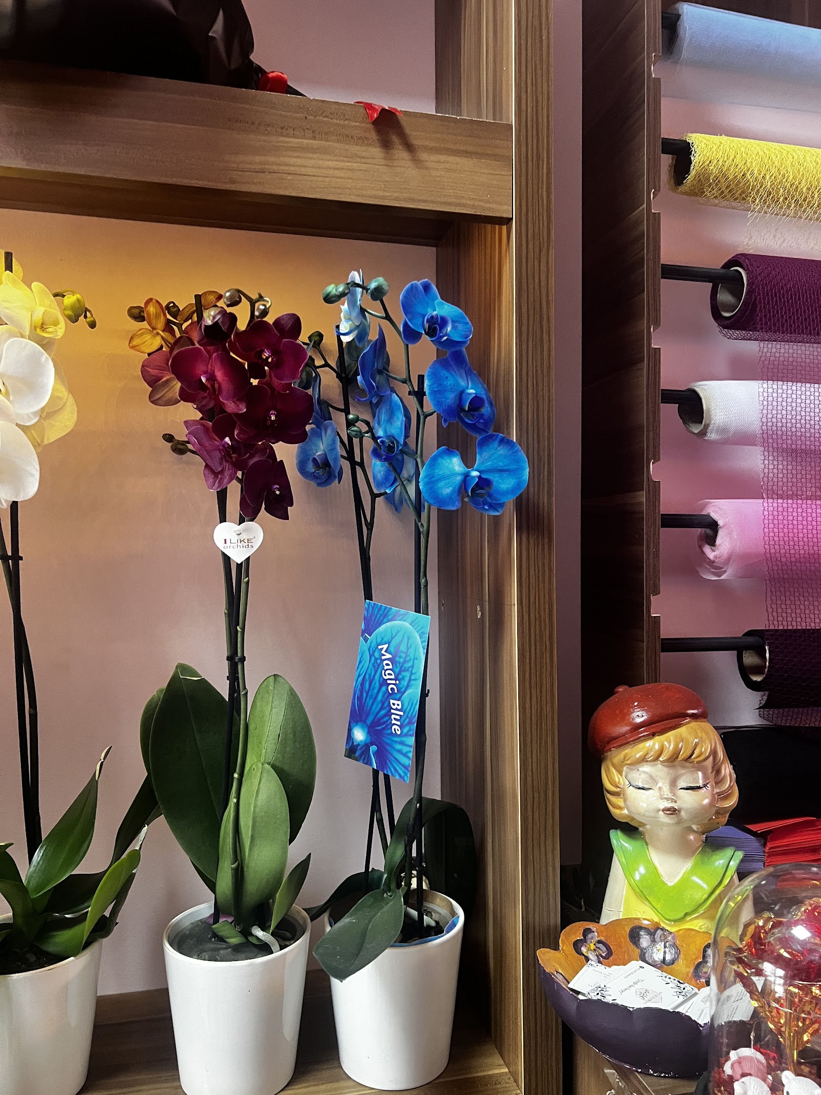 Atakum Çiçekçisi Artflowers