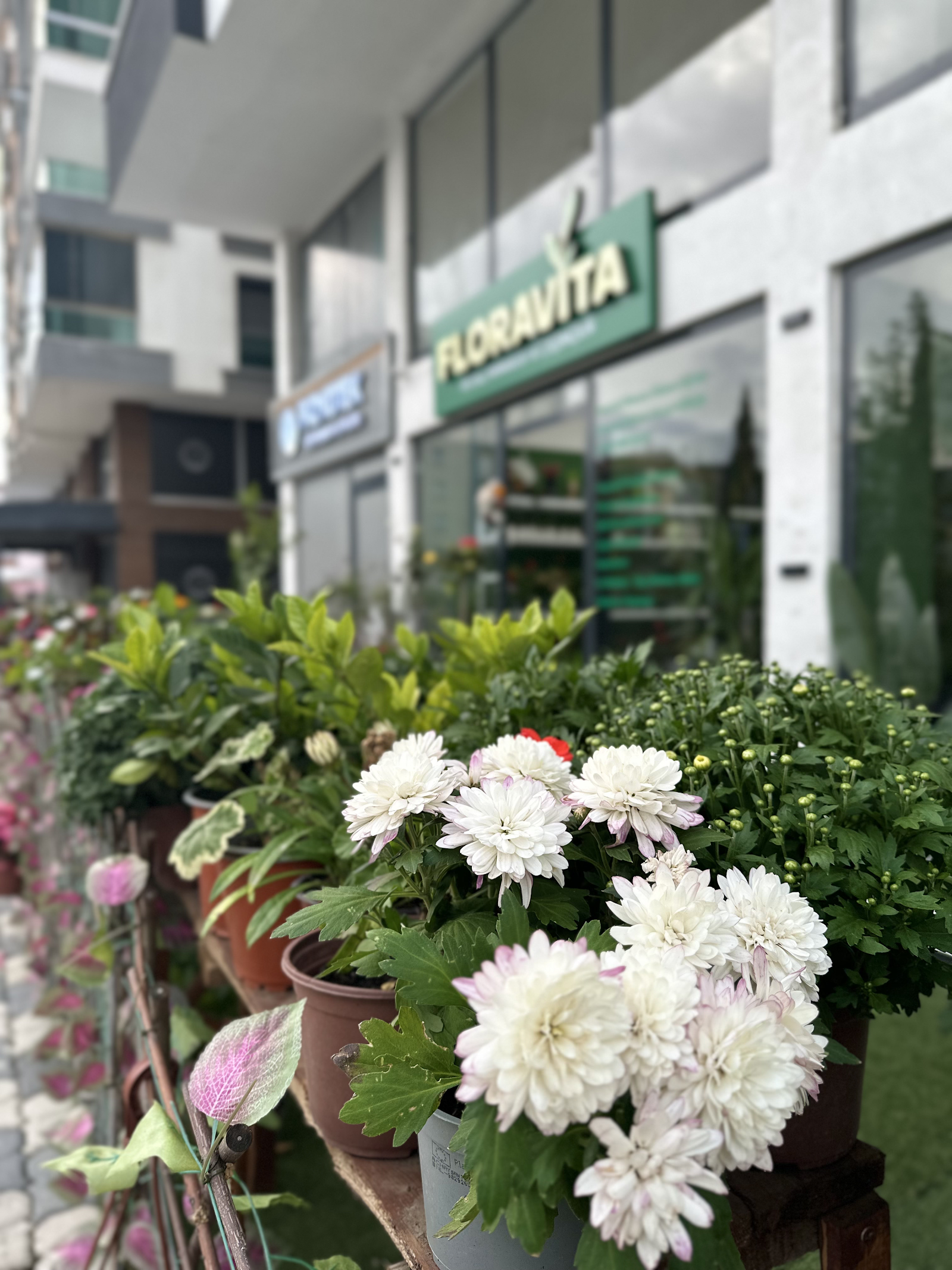 Floravita Peyzaj Mimarlık ve Çiçekçilik