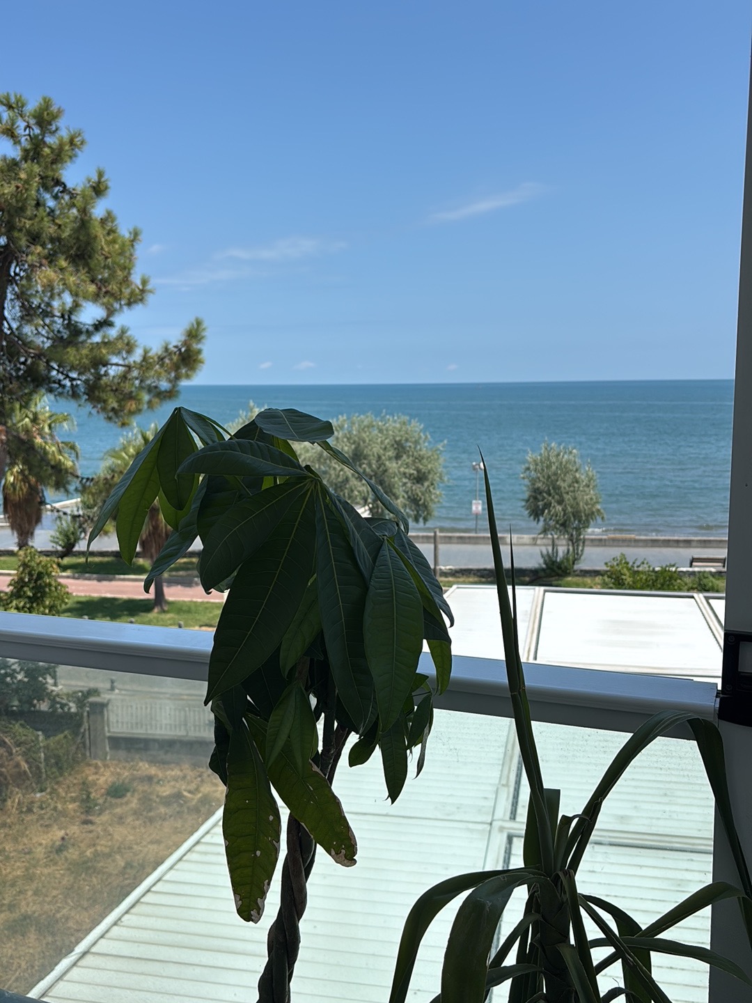 Hüseyin Alkan Hair Beauty & Wellness Center