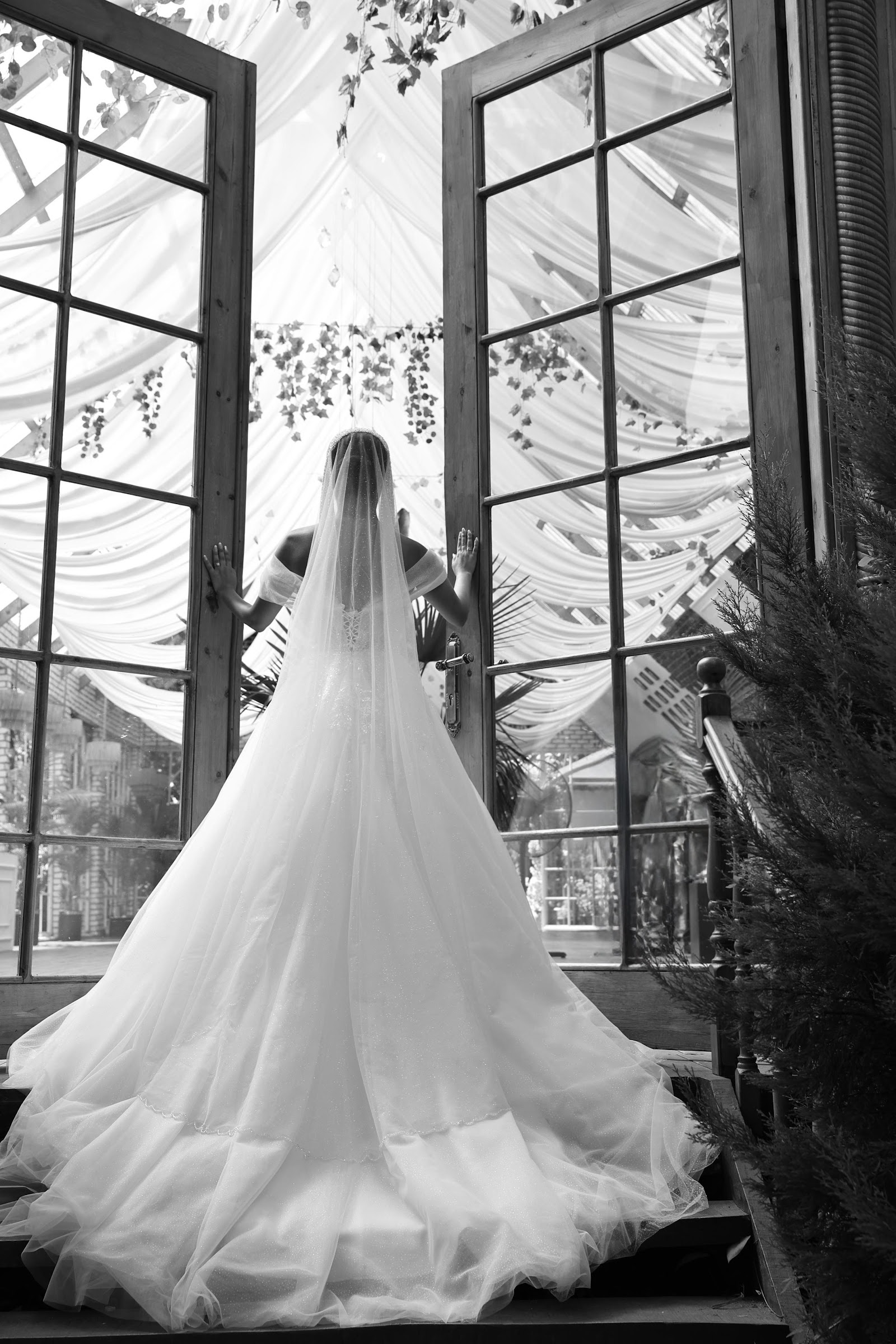Luna Bride