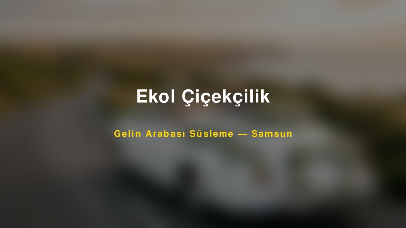 Ekol Çiçekçilik ile Trend Gelin Arabası Yazıları ve Konseptleri — 1