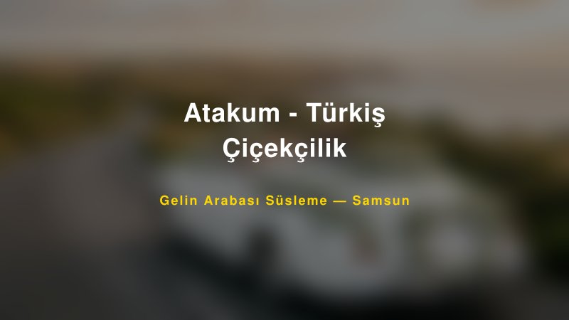 Atakum - Türkiş Çiçekçilik Gelin Arabası Süsleme Fiyatları — 1